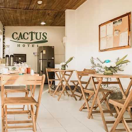 Hotel Cactus Таганга Екстер'єр фото