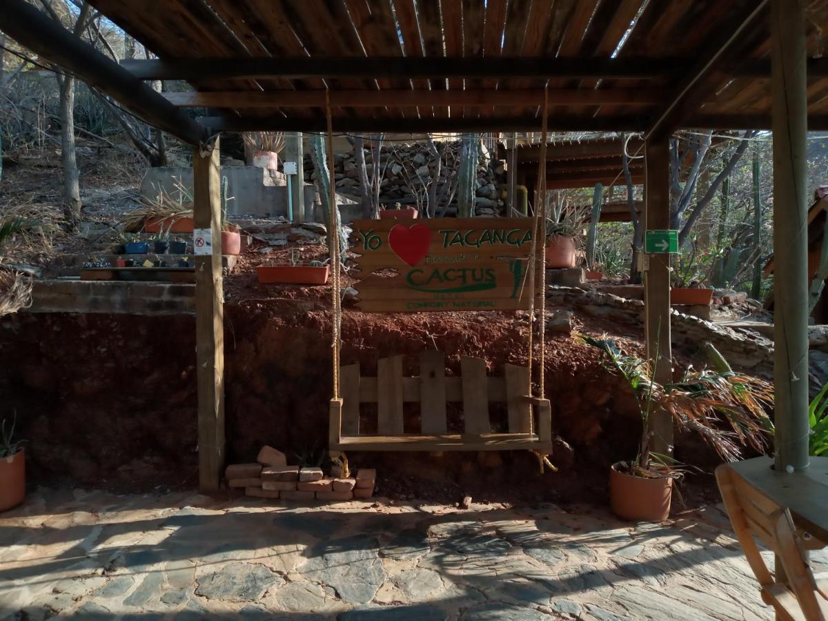 Hotel Cactus Таганга Екстер'єр фото