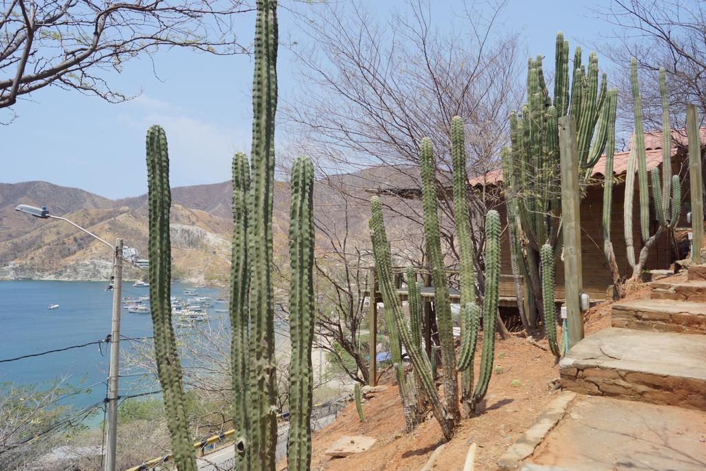 Hotel Cactus Таганга Екстер'єр фото
